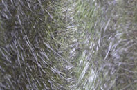 Broadbury fibreglass roof work